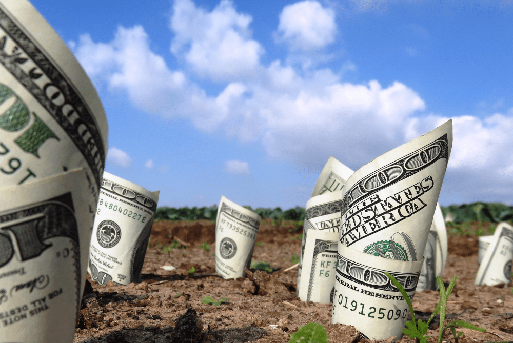 Will Farmland Prices Continue to Rise?